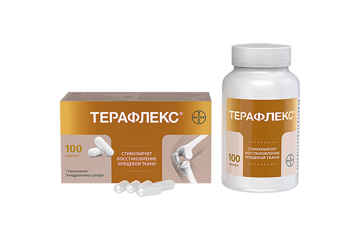 Терафлекс капс №100