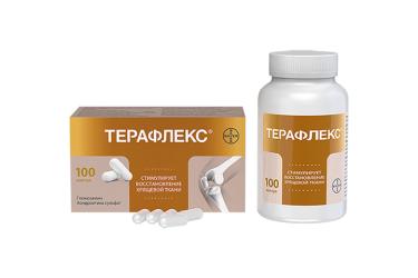 Терафлекс капс №100