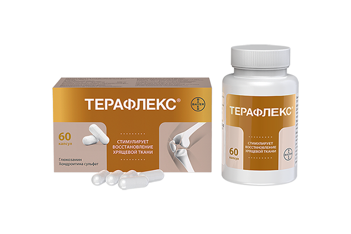 Терафлекс капс №60