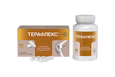 Терафлекс капс №60