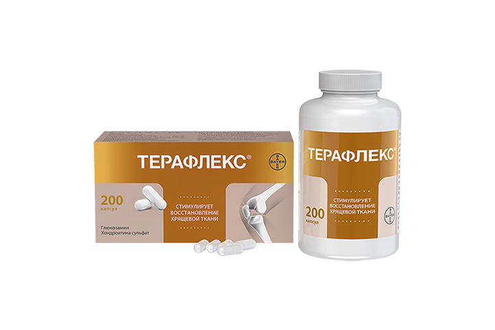 Терафлекс капс №200