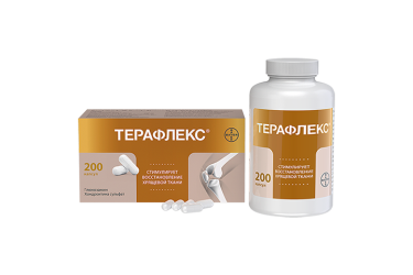 Терафлекс капс №200