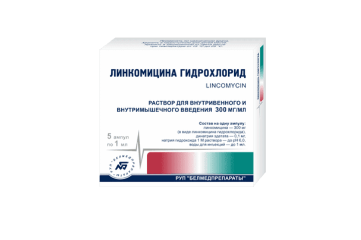 Линкомицина г/х 300мг/мл р-р д/инф в/м 1мл амп №10